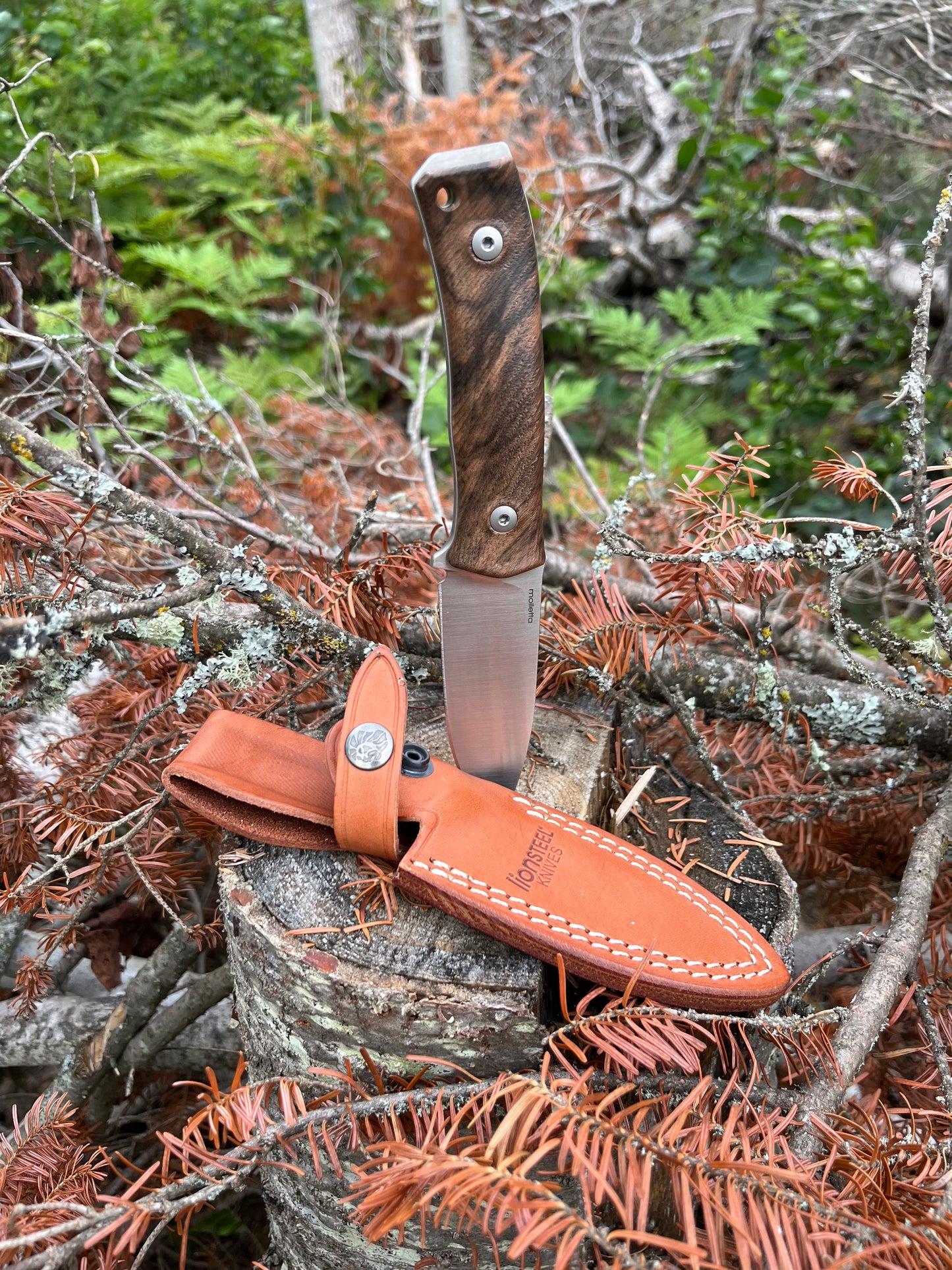M4 Wood - Walnut