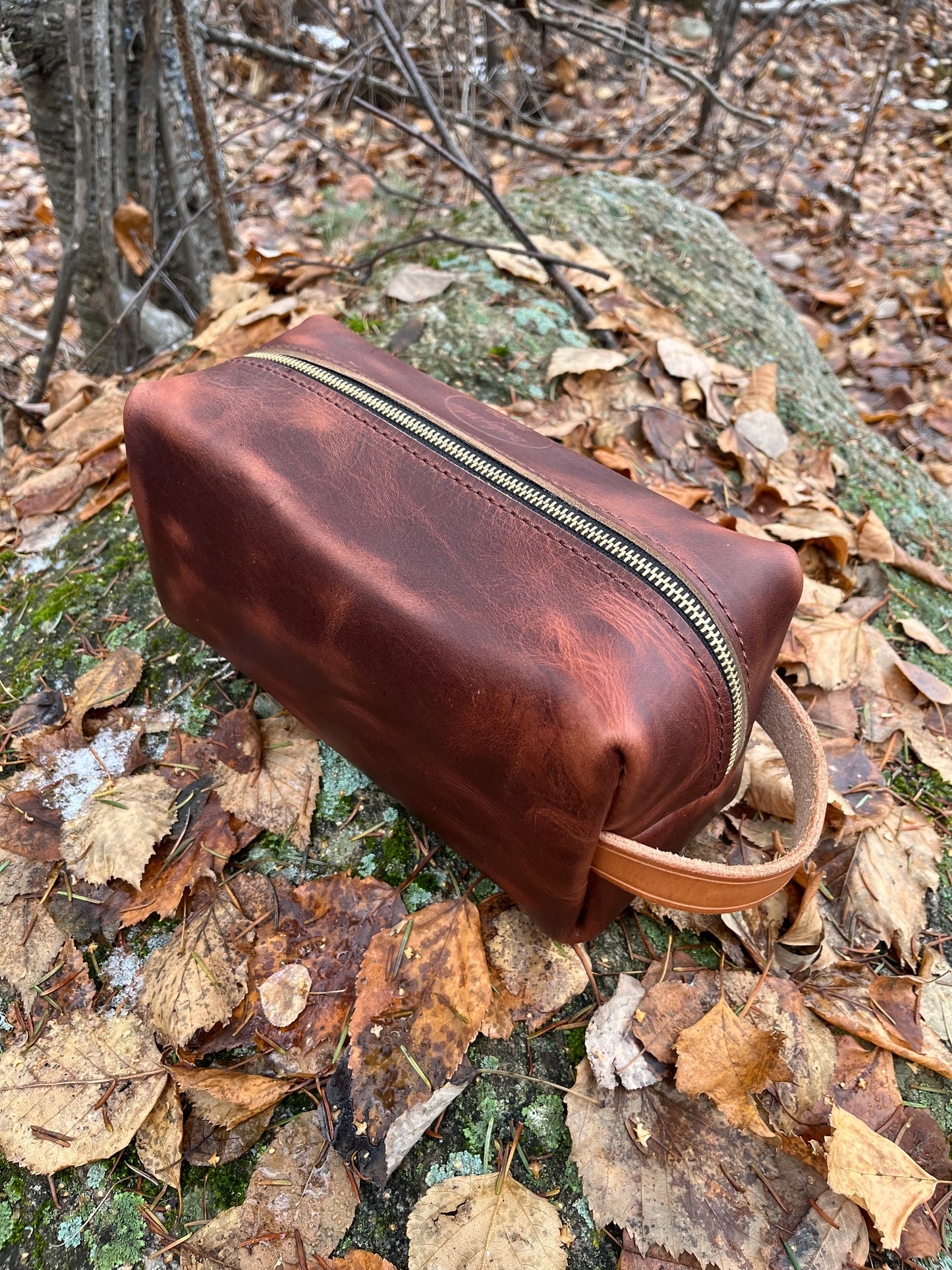 mens Toiletry Bag