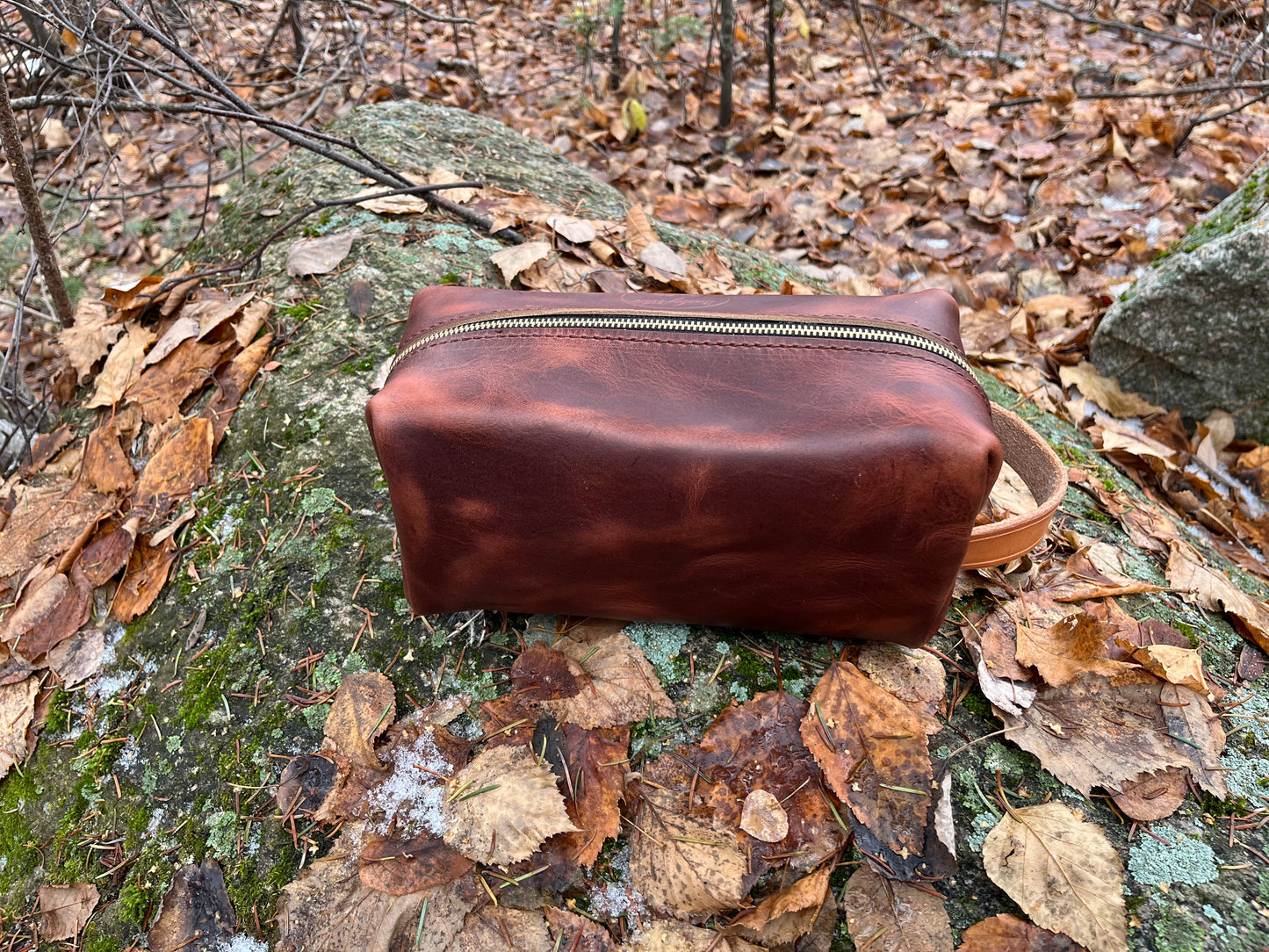 mens Toiletry Bag