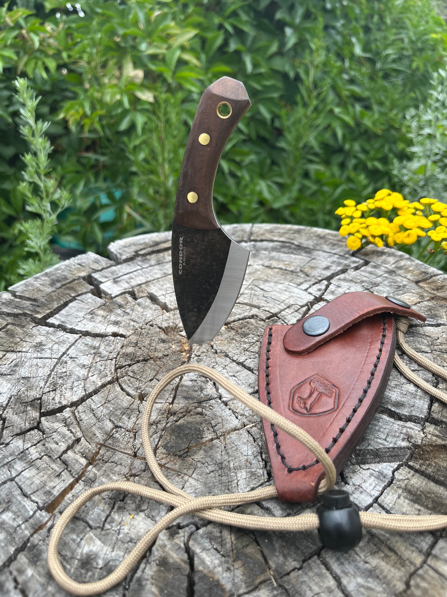 PANGUI KNIFE