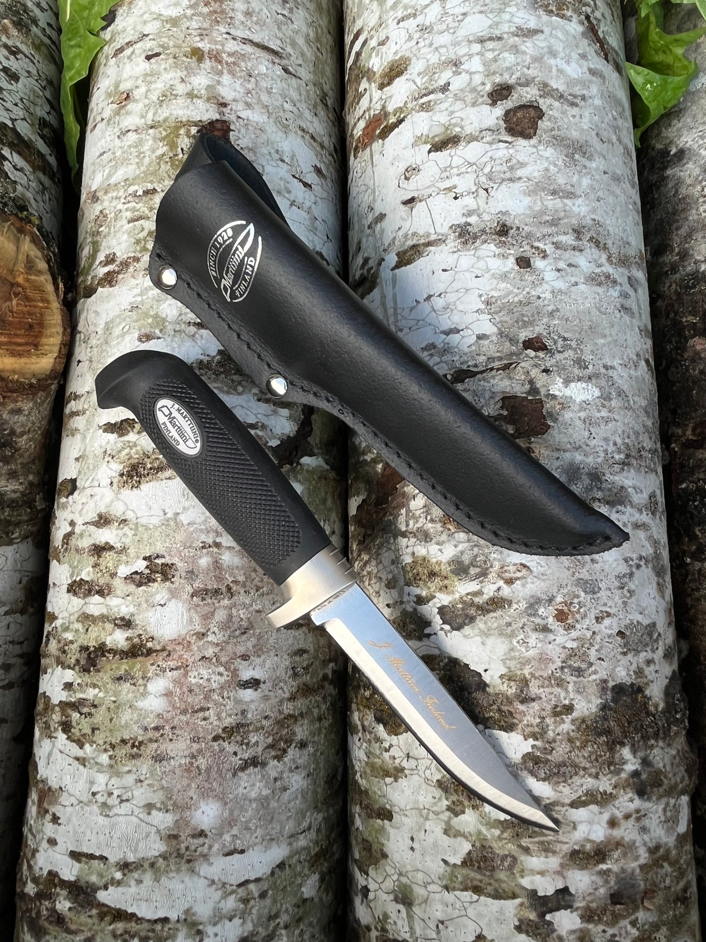 LITTLE CONDOR BASIC