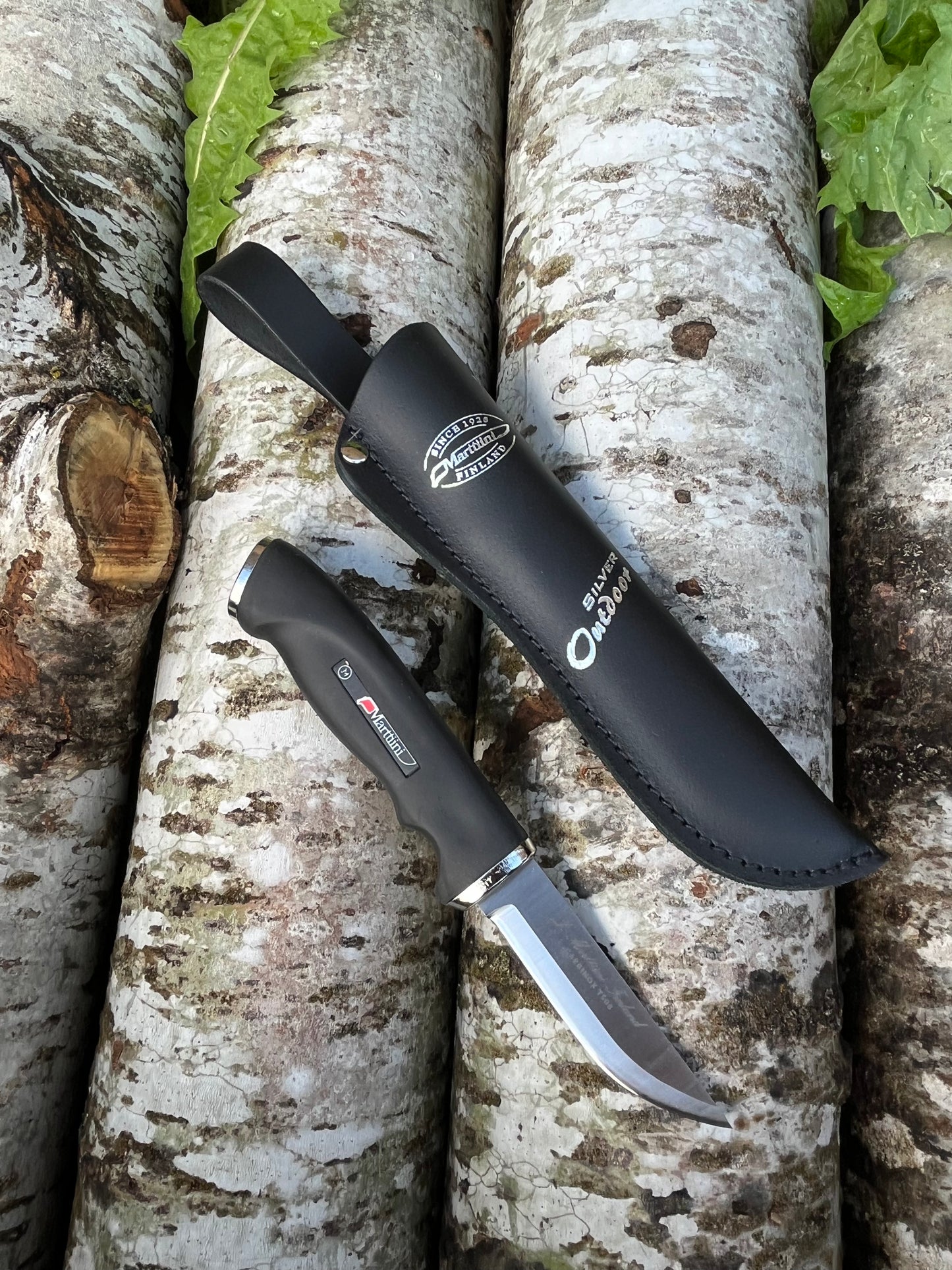SILVER CARBINOX