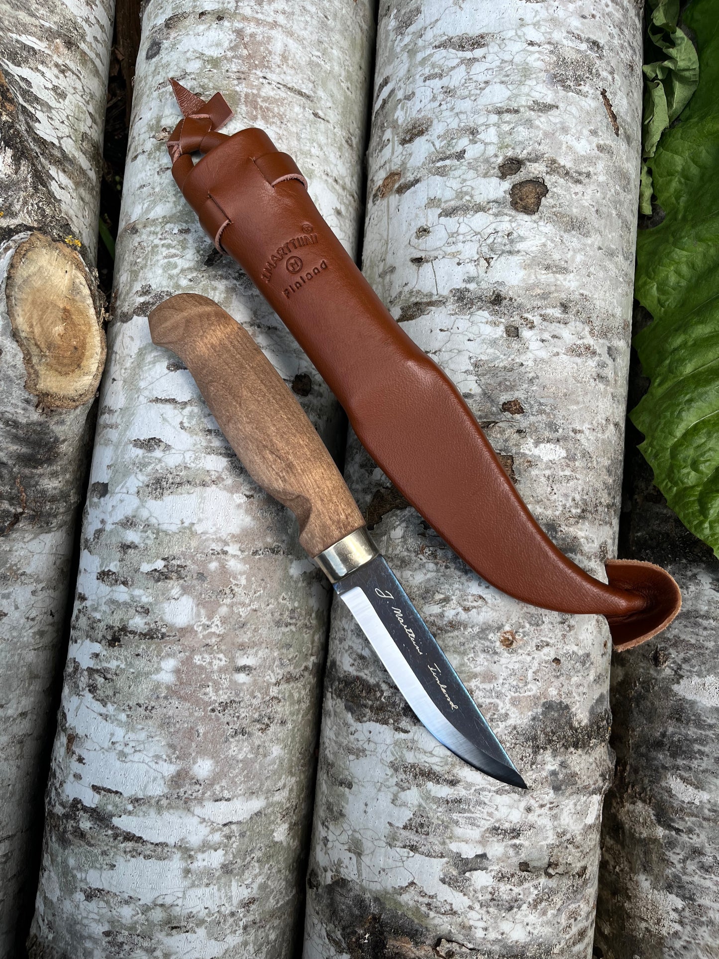 LUMBERJACK CARBON